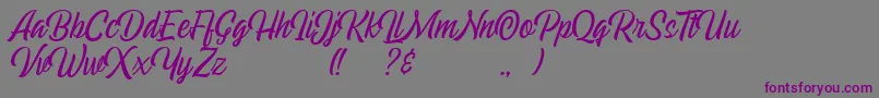Echomotors Script Demo Font – Purple Fonts on Gray Background