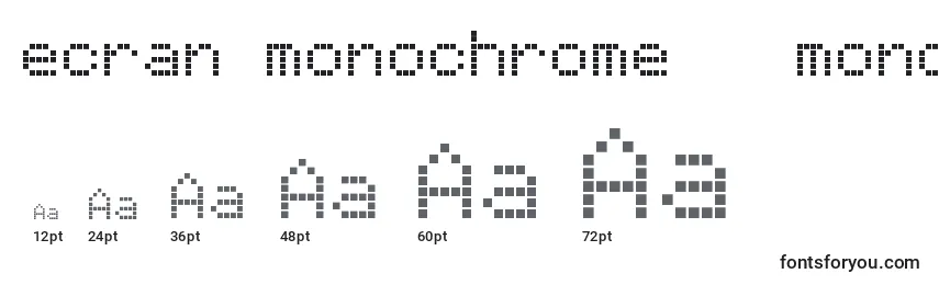 Ecran monochrome   monochrome display Font Sizes