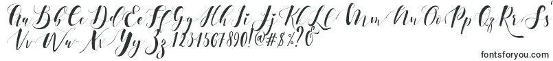 Ectomorph Dafont Font – Tattoo Fonts
