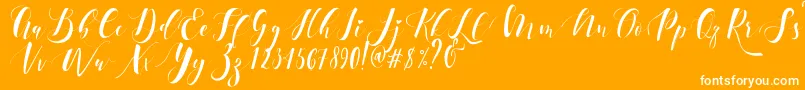 Ectomorph Dafont Font – White Fonts on Orange Background