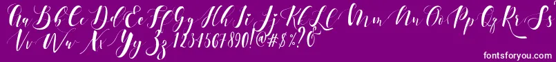 Ectomorph Dafont-Schriftart – Weiße Schriften auf violettem Hintergrund