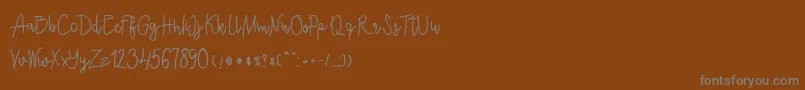 フォントEcuador Bold – 茶色の背景に灰色の文字