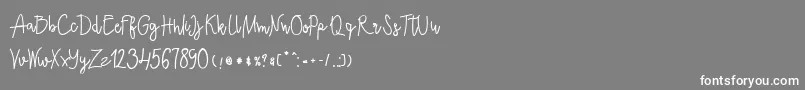 Ecuador Bold-Schriftart – Weiße Schriften auf grauem Hintergrund