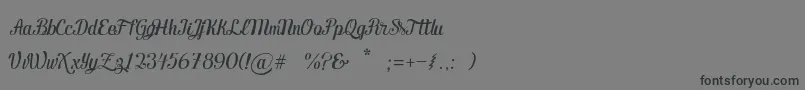Ecuador Handscript-Schriftart – Schwarze Schriften auf grauem Hintergrund