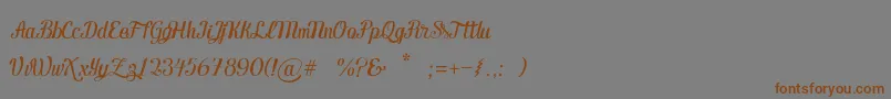 Więcej informacji o czcionce Ecuador Handscript Czcionka Ecuador Handscript – brązowe czcionki na szarym tle