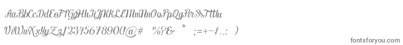 Ecuador Handscript-fontti – harmaat fontit