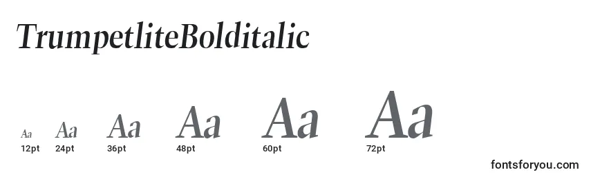 TrumpetliteBolditalic Font Sizes