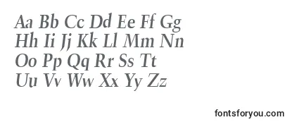 TrumpetliteBolditalic Font