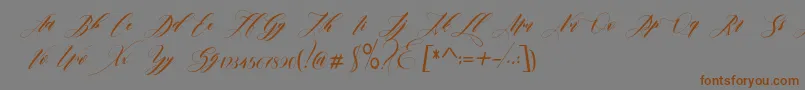 Weitere Informationen zur edore-Schriftart edore-Schriftart – Braune Schriften auf grauem Hintergrund