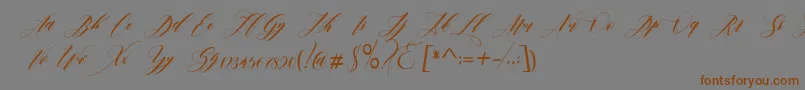 フォントedore – 茶色の文字が灰色の背景にあります。