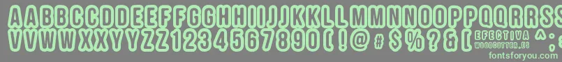 EFECTIVA-fontti – vihreät fontit harmaalla taustalla