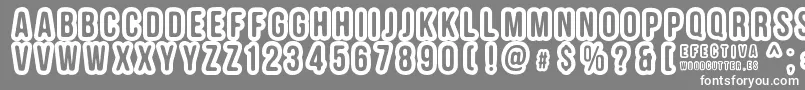 Шрифт EFECTIVA – белые шрифты на сером фоне