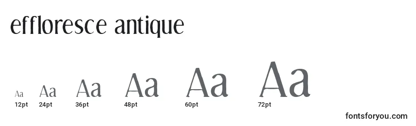 Размеры шрифта Effloresce antique
