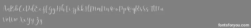 フォントEffort Demo – 灰色の背景に白い文字