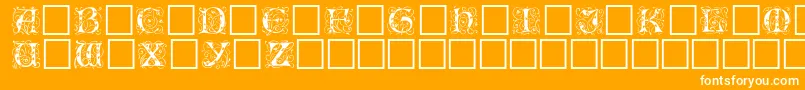 EICBL    Font – White Fonts on Orange Background