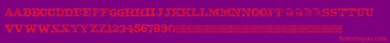 EightyOne Font – Red Fonts on Purple Background