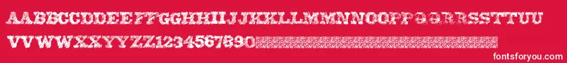 EightyOne Font – White Fonts on Red Background