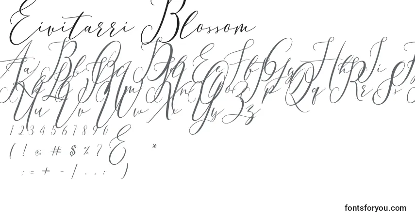 Eivitarri Blossom-fontti – aakkoset, numerot, erikoismerkit