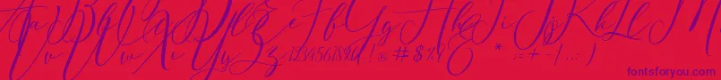 Eivitarri Blossom Font – Purple Fonts on Red Background