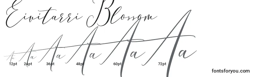 Размеры шрифта Eivitarri Blossom