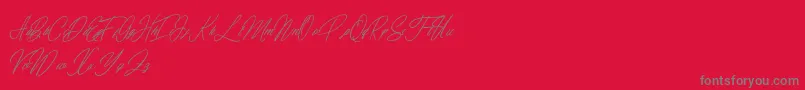 elaineighteen-Schriftart – Graue Schriften auf rotem Hintergrund