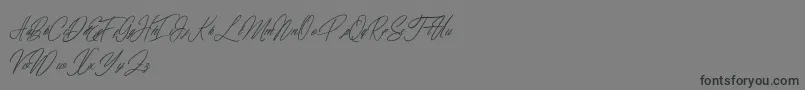 elaineighteen Font – Black Fonts on Gray Background