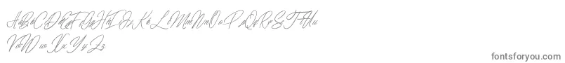 elaineighteen-Schriftart – Graue Schriften