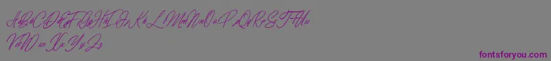 elaineighteen Font – Purple Fonts on Gray Background