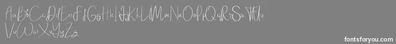 Elanor demo Font – White Fonts on Gray Background