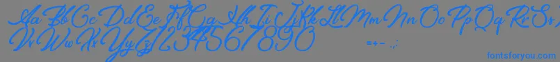フォントElegancia Romantica – 灰色の背景に青い文字