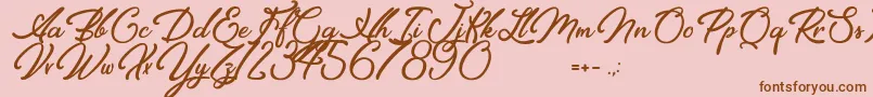 Elegancia Romantica Font – Brown Fonts on Pink Background