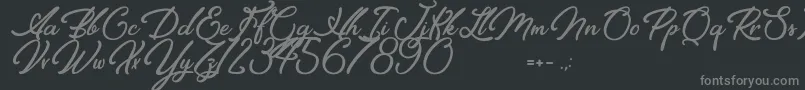 Elegancia Romantica Font – Gray Fonts on Black Background