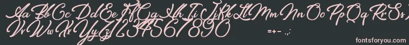 Elegancia Romantica Font – Pink Fonts on Black Background