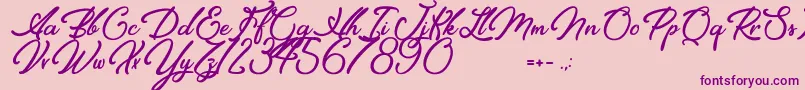 Elegancia Romantica Font – Purple Fonts on Pink Background
