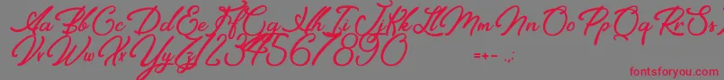 Elegancia Romantica Font – Red Fonts on Gray Background