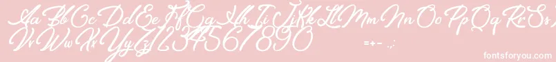 Elegancia Romantica Font – White Fonts on Pink Background