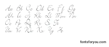 Elegant Font