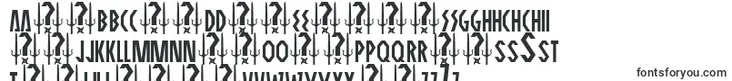 Шрифт ELEKTRA ASSASSIN – чешские шрифты