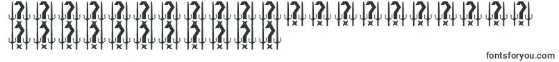 フォントELEKTRA ASSASSIN – ペルシャ文字