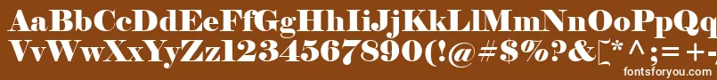 フォントELEPHANT – 茶色の背景に白い文字