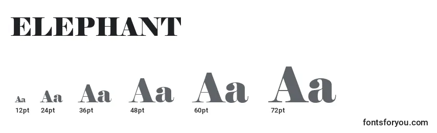 Размеры шрифта ELEPHANT (125884)