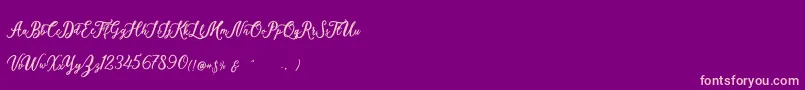 Elisofia Calvin For Personal Use-Schriftart – Rosa Schriften auf violettem Hintergrund