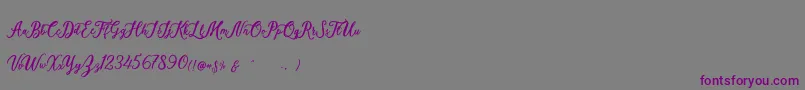 Elisofia Calvin For Personal Use-Schriftart – Violette Schriften auf grauem Hintergrund