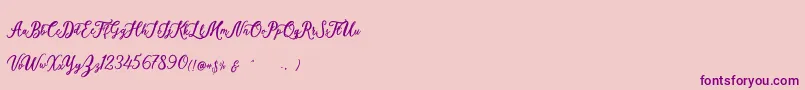 Elisofia Calvin For Personal Use Font – Purple Fonts on Pink Background