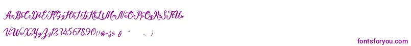 Шрифт Elisofia Calvin For Personal Use – фиолетовые шрифты на белом фоне