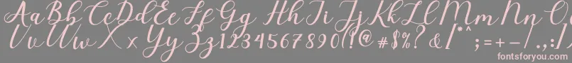 Elizabeth Script Font – Pink Fonts on Gray Background