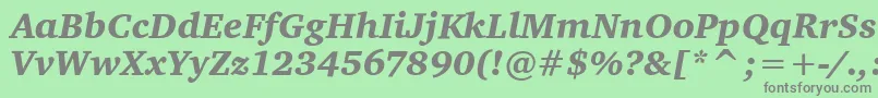 CharterItcBlackItalic Font – Gray Fonts on Green Background