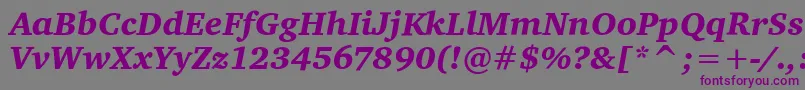 CharterItcBlackItalic-fontti – violetit fontit harmaalla taustalla