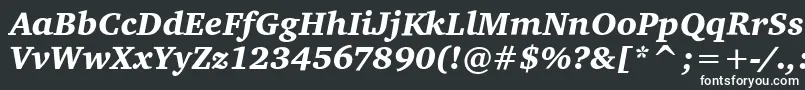 フォントCharterItcBlackItalic – 白い文字