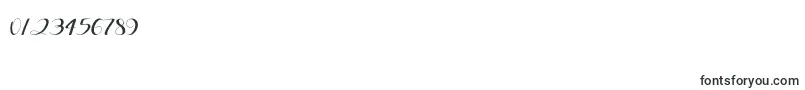 Ellic Script 1 Font – Fonts for Numbers and Digits